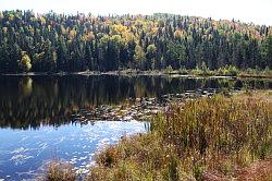 Lac-Saint-Jean naar Shawinigan